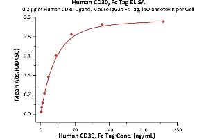 Immobilized Human CD30 Ligand, Mouse IgG2a Fc Tag, low endotoxin (ABIN5954987,ABIN6253579) at 2 μg/mL (100 μL/well) can bind Human CD30, Fc Tag (ABIN2180743,ABIN2180742) with a linear range of 0.