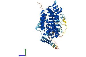 Protein Structure (PS) image for Sestrin 1 (SESN1) (AA 1-492) protein (His tag) (ABIN7563462)
