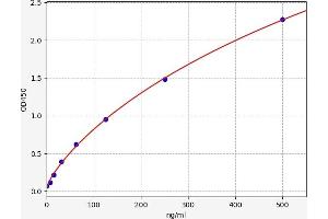 Calprotectin (S100A8/A9) ELISA Kit