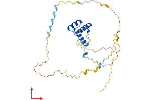 Protein Structure (PS) image for Homeobox B4 (HOXB4) (AA 1-251) protein (His tag) (ABIN7548438)