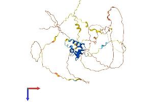 FOXO4 Protein (AA 1-505) (His tag)