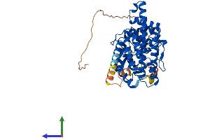 AlphaFold protein structure predicition of Human Recombinant CHKA Protein, UniprotID P35790 (Choline Kinase alpha Protein (CHKA) (AA 1-457) (His tag))