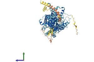 AlphaFold protein structure predicition of Human Recombinant SLC26A4 Protein, UniprotID O43511