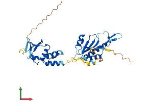 Protein Structure (PS) image for Potassium Channel Tetramerisation Domain Containing 10 (KCTD10) (AA 1-313) protein (His tag) (ABIN7552553)