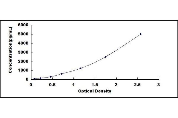 ENTPD3 ELISA Kit