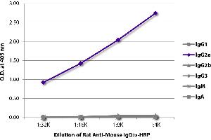 ELISA plate was coated with purified mouse IgG1, IgG2a, IgG2b, IgG3, IgM, and IgA. (Ratte anti-Maus IgG2a Antikörper (HRP))