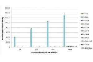 Histone H3K9ac antibody (rAb) tested by Luminex bead-based specificity analysis.