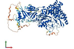 Protein Structure (PS) image for Phospholipase D2 (PLD2) (AA 1-933) protein (His tag) (ABIN7550805)
