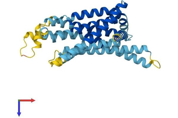 TAS2R7 Protein (AA 1-312) (His tag)