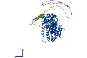 AlphaFold protein structure predicition of Mouse Recombinant Caps2 Protein, UniprotID Q8BUG5