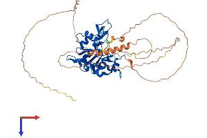 CTDSPL2 Protein (AA 1-466) (His tag)