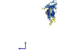 Protein Structure (PS) image for Tweety Homolog 1 (TTYH1) (AA 1-450) protein (His tag) (ABIN7560946)