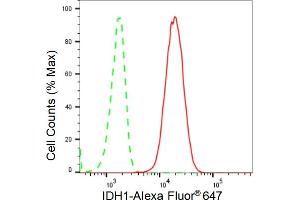 Flow cytometric analysis of IDH1 expression in C2C12 cells using IDH1 antibody (ABIN7799133), 1:2,000). (Rekombinanter IDH1 Antikörper)