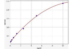 Typical standard curve (ITGA5 ELISA Kit)