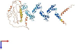 ZNF677 Protein (AA 1-584) (His tag)