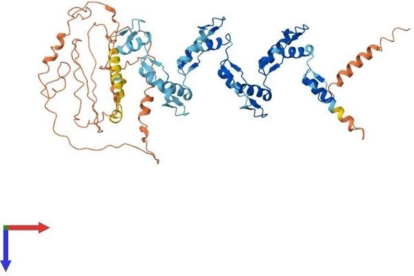 ZNF677 Protein (AA 1-584) (His tag)