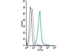Cell surface detection of TRPM6 by direct flow cytometry in live intact mouse J774 macrophage cells: + Rabbit IgG Isotype Control-FITC (ABIN7582044).