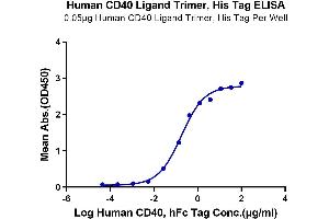 ELISA image for CD40 Ligand (CD40LG) (AA 113-261), (Trimer) protein (His-DYKDDDDK Tag) (ABIN7274318)