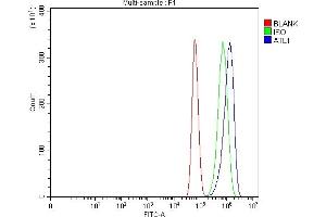 Flow Cytometry analysis of U87 cells using anti-SPG3A/ATL1 antibody (ABIN7603095). (ATL1 Antikörper  (Middle Region))