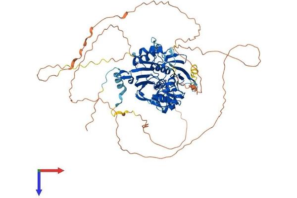 DCLRE1C Protein (AA 1-705) (His tag)