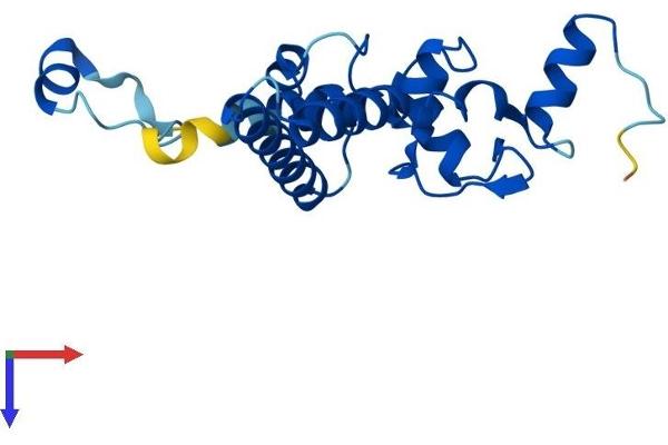 IMP3 Protein (AA 1-184) (His tag)