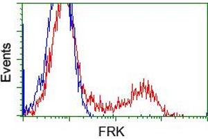 HEK293T cells transfected with either pCMV6-ENTRY FRK (RC204460) (Red) or empty vector control plasmid (Blue) were immunostained with anti-FRK mouse monoclonal (ABIN2452598, Dilution 1:1,000), and then analyzed by flow cytometry. (FRK Antikörper)