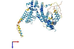 ORC3 Protein (AA 1-715) (His tag)