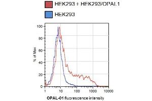 Flow cytometry analysis of OPAL-transfected HEK293 cells using mouse monoclonal antibody (OPAL1 Antikörper  (AA 152-342) (PE))