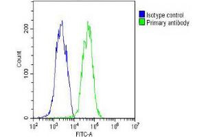 Overlay histogram showing HepG2 cells stained with Antibody (green line). (ID1 Antikörper  (AA 66-93))