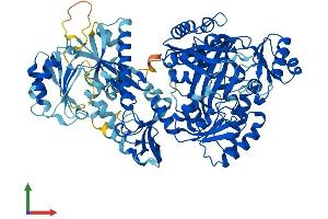 Protein Structure (PS) image for Carnosine Synthase 1 (CARNS1) (AA 1-827) protein (His tag) (ABIN7546839)