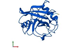 AlphaFold protein structure predicition of Human Recombinant PPIAL4D Protein, UniprotID F5H284