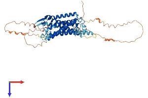 TACR3 Protein (AA 1-465) (His tag)