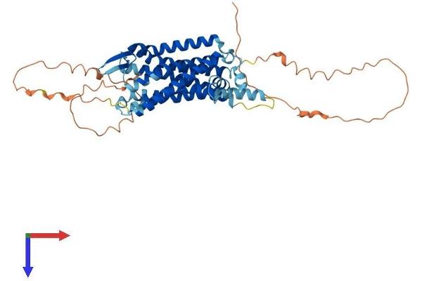 TACR3 Protein (AA 1-465) (His tag)