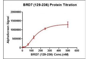 Activity Assay (AcA) image for Bromodomain Containing 7 (BRD7) (AA 129-236) protein (His tag,DYKDDDDK Tag) (ABIN2669646)