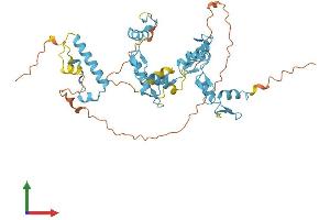 AlphaFold protein structure predicition of Human Recombinant ZNF584 Protein, UniprotID Q8IVC4