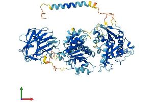 Protein Structure (PS) image for DEAD (Asp-Glu-Ala-Asp) Box Polypeptide 1 (DDX1) (AA 1-740) protein (His tag) (ABIN7564786)