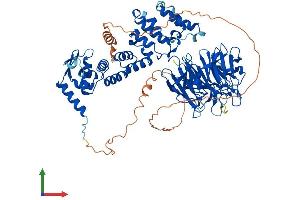 Protein Structure (PS) image for Kelch-Like 4 (KLHL4) (AA 1-718) protein (His tag) (ABIN7548930)