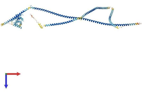 HOOK3 Protein (AA 1-718) (His tag)