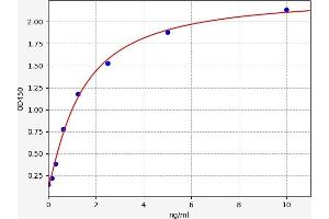 NMUR1 ELISA Kit