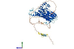 Protein Structure (PS) image for TGF-beta Activated Kinase 1/MAP3K7 Binding Protein 1 (TAB1) (AA 1-504) protein (His tag) (ABIN7544156)