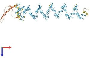 AlphaFold protein structure predicition of Human Recombinant ZNF99 Protein, UniprotID A8MXY4