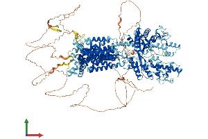 Protein Structure (PS) image for Patched 1 (PTCH1) (AA 1-1447) protein (His tag) (ABIN7555091)