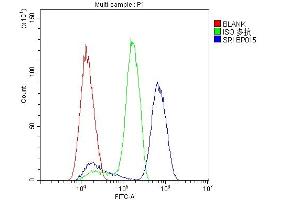 Flow Cytometry analysis of SiHa cells using anti-SRI antibody (ABIN6719388). (SRI Antikörper)