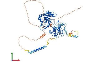 Protein Structure (PS) image for Fucosyltransferase 4 (Alpha (1,3) Fucosyltransferase, Myeloid-Specific) (FUT4) (AA 1-530) protein (His tag) (ABIN7547812)