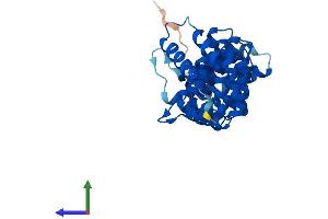 Protein Structure (PS) image for Calcium Binding Protein 39-Like (CAB39L) (AA 1-337) protein (His tag) (ABIN7561252)