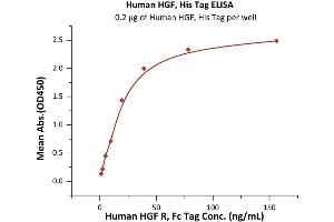 ELISA image for Hepatocyte Growth Factor (Hepapoietin A, Scatter Factor) (HGF) (AA 32-728) (Active) protein (His tag) (ABIN7013376)
