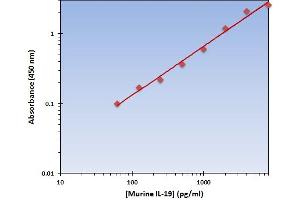 Interleukin 19 (IL19) ELISA Kit
