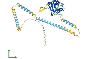 AlphaFold protein structure predicition of Human Recombinant SUN3 Protein, UniprotID Q8TAQ9
