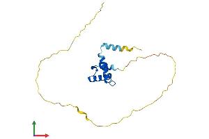 Protein Structure (PS) image for SCAN Domain Containing 1 (SCAND1) (AA 1-179) protein (His tag) (ABIN7551699)
