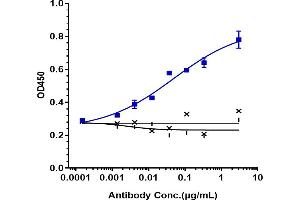Immobilized human PCSK9 chis at 2 μg/mL can bind Anti-PCSK9 Reference Antibody (alirocumab), EC50=0.